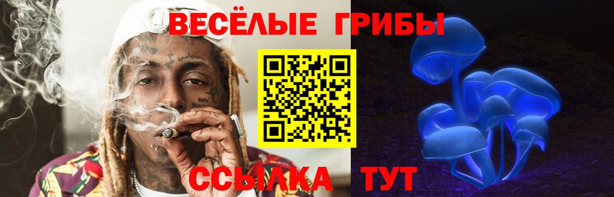 Галлюциногенные грибы Magic Shrooms  Галлюциногенные грибы Cubensis  Вход с VPN  Бугульма 